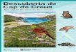 Descoberta de - PRESENTACIÓcursguiespncc2014.weebly.com/uploads/2/5/4/5/25455761/... · 2019-08-03 · 6 La península de Cap de Creus està constituïda per roques d’una serralada