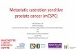 Metastatic castration sensitive prostate cancer (mCSPC) · Metastatic castration sensitive prostate cancer (mCSPC) Silke Gillessen, MD Medical Oncology Division of Cancer Sciences