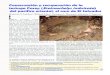 Conservación y recuperación de la tortuga Carey (Eretmochelys … · 2015-08-28 · Conservación y recuperación de la tortuga Carey (Eretmochelys imbricata) del pacifico oriental,