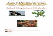 Animal Adaptations & BehaviorAdaptation-is anything that helps an animal survive in its environment. Outer body coverings-help an animal survive by: 1. protecting its internal organs