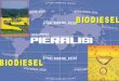 PIERALISI Deutschland GmbH Biodiesel Workshop 1 May 15, 2006logichemprocess.com/wp-content/uploads/biodiesel.pdf · 2013-11-29 · PIERALISI Deutschland GmbH May 15, 2006 Biodiesel