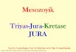 Mesozoyik Triyas-Jura-Kretase JURAjeoloji.deu.edu.tr/wp-content/uploads/2019/11/Tarihsel_6.pdf · 2019-11-05 · Zaman Jura terimini ilk kez 1795 yılındaAlman jeolog A. ... By the