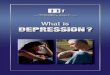 1mdsc.ca/documents/Publications/DepressEngMaster_v18_Nov... · 2016-03-30 · 6 7 lack of sleep, a history of depression or bipolar disorder, and stressful life circumstances. Postpartum