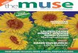 the Muse magazine - edition 024 - November 2012 · The Muse has the right to make alterations to submitted contributions. welcOme ... I get the feeling that we are desperate to regain