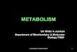 METABOLISM - Website Staff UIstaff.ui.ac.id/.../material/metabolismch-inter08.pdf · sriwidiaaj/ch metab/inter08 2 METABOLISM • Process of how cells acquire, transform, store and