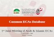 Common ECAs Database - Aman Union website and database.pdfThe project was initiated by DHAMAN and was first presented during the 11. th. meeting of Arab ECAs held in Kuwait (2007)