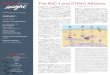 The RIG-I and STING Alliance...RIG-I Pathway RIG-I/MAVS Reporter Cells InvivoGen社では、RNAを感知するRIG-1経路の研究を促進するた め、ヒト肺A549癌腫、マウスRAWマクロファージ、およびヒト胎児腎