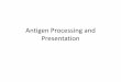 Antigen Processing and Presentation– MHC class II molecules present peptides derived from cytosolic and nuclear proteins • 20-30% of peptides eluted from MHC class II are from