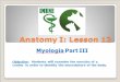 Okay Anatomy Anatomy I: Lesson 12 - Imune · 2017-11-06 · Okay Anatomy Anatomy I: Lesson 12 Myologia – Practical Tasks 11-14 Objective: Students will examine the practical dissection