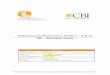 Allineamento Elettronico Archivi - A.E.A.Titolo: Allineamento Elettronico Archivi - A.E.A. Codice CBI-AEA-001 Versione 6.09 Tipologia Documento: CBI - Standard tecnici Data 28-06-2012