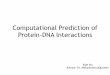 Computational Prediction of Protein-DNA InteractionsComputational Prediction of Protein-DNA Interactions Xide Xia Advisor: Dr. Mohammed AlQuraishi. Position Weight Matrix (PWM) PWMs