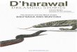 D’harawal - WordPress.com · In this series of D’harawal Law Legends, there are many lessons to be learned. The D’harawals be-lieved that children learned better and more quickly