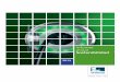 Informe anual Sostenibilidad - Endesa · 2020-01-09 · tar de manera natural y flexible su proceso de alineamien - to con los objetivos del Plan de sostenibilidad del Grupo enel