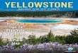 YELLOWSTONE · TOP SIX Yellowstone Trip Planner 2020. 6 DINE AT OLD FAITHFUL INN A trip to Yellowstone would not be complete without seeing the largest log structure in the world