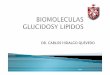 DR. CARLOS HIDALGO QUEVEDOcpu.usmp.edu.pe/intranetcpu/ppt04/4-Lima-Hidalgo-Bio...IMPORTANCIA Los carbohidratos sirven como fuente de energía para las células. La GLUCOSA es el carbohidrato