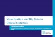 Visualization and Big Data in Official Statistics · Martijn Tennekes In cooperation with Piet Daas, Marco Puts, May Offermans, Alex Priem, Edwin de Jonge Visualization and Big Data