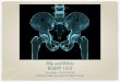 Hip and Pelvis RADT 1512 - Weber State Universityradpacs.weber.edu/Images/T_Rigby/RADT 1512/1512 PPT 4...(Anterior Pelvic Bones) Use an 8 X10 inch ﬁlm crosswise. Pt is prone.$ Center