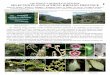 SELECTED PLANTS of XIENG KHOANG PROVINCE LAO PEOPLE’S ... · LAO PEOPLE’S DEMOCRATIC REPUBLIC 2 SELECTED PLANTS of XIENG KHOANG PROVINCE Joshua M. Henkin1,2, Bethany G. Elkington1,2,