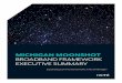 Michigan Moonshot Broadband Framework Executive Summary v3 · NETWORK PLANNING CHECKLIST From assessing your community, to performing feasibility studies, to the actual design, construction,