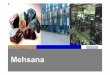 Mehsana - Global Gujaratglobalgujarat.com/images/mehsana-district-profile.pdfMehsana district also hosts a Co-operative milk dairy -Dudhsagar, which is the second largest milk dairy