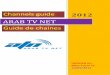 Channels 2012 guide - ARAB TV NET LIST-2.pdfRotana Aflam Rotana Aflam (TS) Rotana Cinema Rotana Cinema (TS) Rotana Masriya ... Play Movies Play Hekayat 