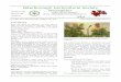 Peterborough Horticultural Society Newsletter · 2015-03-15 · Peterborough Horticultural Society Newsletter Editor Dianne Westlake Email: editor@peterboroughgardens.ca P.O. Box