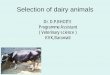 Selection of dairy animals - · PDF file Buffaloes In India, we have good buffalo breeds like Murrah and Mehsana, which are suitable for commercial dairy farm. Buffalo milk has more