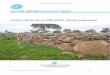 Lindum Vale Dry Stone Wall Historic Heritage Assessment · 2017-08-29 · Historical Dry Stone Wall Assessment, ‘Lindum Vale’, Mickleham, Victoria Page 2 Part 1 | Assessment 1