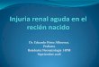 Dr. Eduardo Pérez Albornoz. Pediatra Residente ... · Disminución producción urinaria (diuresis < 0,5ml/kg/hr) Acute Kidney Injury in the Neonate. Clin Perinatol - (2014) AKI is