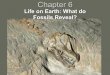 Life on Earth: What do Fossils Reveal? - Lynn …lynnrfuller.com/uploads/3/1/3/5/3135168/ch06keynote...Life on Earth: What do Fossils Reveal? Fossils Fossils are the remains or traces