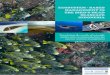 Translating the results of scientific marine resource ...crissyhuffard.com/uploads/3/0/9/5/3095637/ebm_-_english...SPAWNING AGGREGATIONS IN RAJA AMPAT 5 3. SEA TURTLES MIGRATION, NESTING,