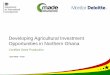 Developing Agricultural Investment Opportunities in Northern Ghana · 2019-10-15 · sorghum, groundnut, soya, cowpea) for a Ghana Cedi (GHS) 1 million (m) investment in land rental,