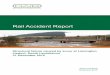 Rail Accident Report - gov.uk · Report 22/2016 Lamington viaduct November 2016 Preface The purpose of a Rail Accident Investigation Branch (RAIB) investigation is to improve railway