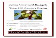 Texas Vineyard Budgets - Texas A&M AgriLifeagrilife.org/winegrapes/files/2016/03/hill-country-budget.pdf · Texas Vineyard Budgets | Texas Hill Country Region 129 Texas Hill Country