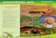 AArk Newsletter amphibian ark Newsletteramphibianark.org/Newsletters/AArk-newsletter-40.pdf · 2017-10-09 · 1 AArk Newsletter amphibian ark Number 40 September 2017 Keeping threatened