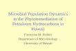 Microbial Population Dynamics in the Phytoremediation of ... · Microbial Population Dynamics in the Phytoremediation of Petroleum Hydrocarbons in Hawaii Francoise M. Robert Department