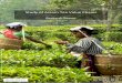 Study of Assam Tea Value Chains...Study of Assam tea value chains Page 3 1. Introduction Tea is the second most consumed beverage after water at the global level. Today, world tea