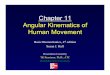 Chapter 11 Angular Kinematics of Human Movement · • Distinguish angular motion from rectilinear and curvilinear motion • Discuss the relationship among angular kinematic variables