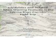 Landslides and Related Mass Wasting Features in the Yakima ... Canyon mass wasting. Mass wasting is