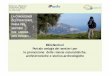 MilleSentieri Portale webgis dei sentieri per la promozione delle … · 2012-09-23 · MilleSentieri: il portale webgis dei sentieri per la promozione delle risorse naturalistiche,