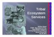 Tribal NRDAR Tribal Ecosys ServicesRegional Tribal subsistence exposure scenarios (Approved by Board of Trustees; several applications) (1) Describe how resources would be used if