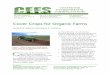 Summer Cover Crops - Georgia Organics · summer cover crops and how they fit specific cropping schemes. • Recommended resources for further ... (Smeda and Weller, 1996). Thus, using