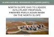 North Slope GTL Web - ANGTL Alaska Natural Gas To Liquids ...angtl.com/pdfs/Web ANRTL NS GTL Program.pdflower cost gasoline and methanol at the gtl plant ... focused on mega gtl plants