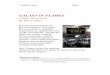 Galaxy in Flames Sample Chapter - Black Library · GALAXY IN FLAMES A Horus Heresy Novel By Ben Counter Having recovered from his grievous injuries, Warmaster Horus leads the triumphant