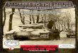 2. PANZERDIVISION AND PANZER LEHR DIVISION IN WACHT AM … · 2015-11-18 · 2 2. PANZERDIVISION the early years 2. Panzerdivision was formed in October 1935, making it one of the