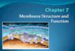 Membrane Structure and Function - Weebly...Membrane Structure and Function What You Must Know: Why membranes are selectively permeable. The role of phospholipids, proteins, and carbohydrates