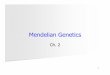 Mendelian Geneticscmalone/pdf360/Ch02-1Mono.pdf · Important genetics questions in the early 1800Õs What traits are inherited? How are traits inherited? What is the role of chance