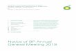 Notice of BP Annual General Meeting 2019...Notice of BP Annual General Meeting 2019 3 Resolution 17 Directors’ authority to allot shares (Section 551) To authorize the directors,