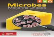 Q Microbes - Animal Science...4 | FAQ: Microbes Make the Cheese In cheese-making, not only do the milk proteins change, but so do its sugars. In particular, the milk sugar lactose