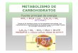 METABOLISMO DE CARBOHIDRATOS - eliasnutri · 2013-10-24 · METABOLISMO DE CARBOHIDRATOS Fuente principal de energía 6CO2+ 6H2O + Luz →C6H12 O6+ 6O2 (673 Kcal.) Tanto en el hombre